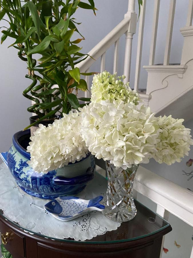 Northey Street House Bed & Breakfast Salem Bagian luar foto
